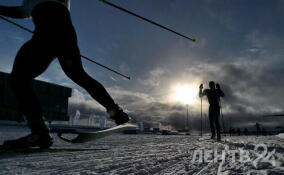 За зиму «Лыжные стрелы» перевезли 23,6 тыс. любителей активного отдыха