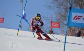 От лыжных гонок до дартса: о спортивных мероприятиях в Ленобласти 23 и 24 марта