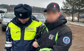 Полицейские задержали водителя, скрывшегося с места смертельной аварии в Ленобласти