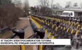 По улицам Петербурга готовы колесить 47 тысяч электросамокатов