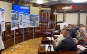 Будущее Новосаратовки обсудили на Градсовете Ленобласти