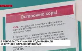В Ленобласти с начала года выявили 56 случаев заражения корью