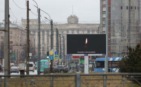 В Петербурге приспустили государственные флаги в знак скорби по погибшим во время теракта в Crocus City Hall
