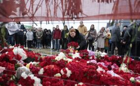Траур по погибшим при теракте в Crocus City Hall начался по всей России