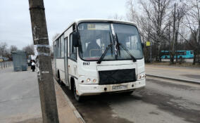 Комтранс проверил работу 12 автобусных маршрутов в Ленобласти и нашел нарушения