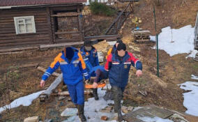 Спасатели помогли медикам транспортировать пациента в деревне Судемье