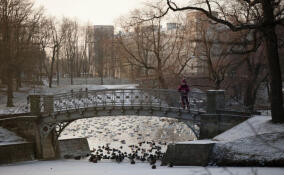 Дворцовый парк Гатчины закроется на просушку с 1 по 26 апреля