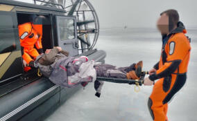 Мужчин без сознания нашли в палатке на льду Ладожского озера