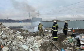 Эконадзор: В Уткиной заводи пресечено сжигание отходов на незаконной свалке