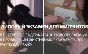 Липовый экзамен для мигрантов: продавали документы о знании русского языка