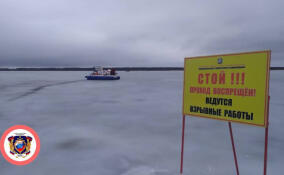 Стало известно, где будут взрывать лед в Ленобласти 28 марта
