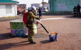 В Ломоносовском районе провели мастер-классы по тушению ландшафтных пожаров и наградили активных старост