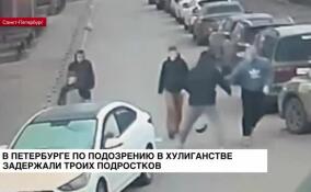 В Петербурге по подозрению в хулиганстве задержали троих подростков