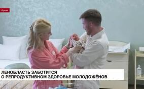 В рамках Года семьи в Ленинградской области вводится новая мера поддержки молодых семей