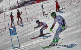 Гонки на высоте: Ленобласть готовится принять чемпионат России по горнолыжному спорту