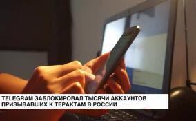 Telegram заблокировал тысячи аккаунтов призывавших к терактам в России