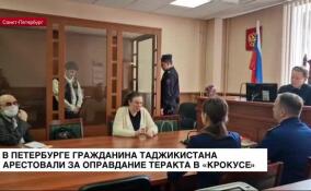 В Петербурге гражданина Таджикистана арестовали за оправдание теракта в «Крокусе»