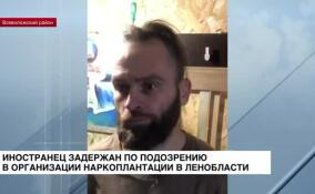Иностранец задержан по подозрению в организации наркоплантации в Ленобласти