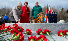 Жителей «Партизанского края» вспоминали 29 марта у мемориала «Разорванное кольцо»