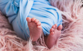 В Ленобласти тридцать новорожденных увидели свет в редкую дату - 29 февраля