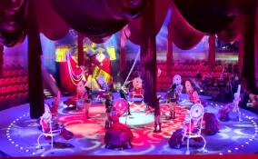 Цирк на Фонтанке устроил представление для детей с особенностями здоровья из Ленобласти