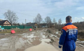 В городе Тосно спасатели провели мониторинг паводковой обстановки