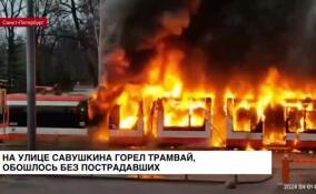 На улице Савушкина горел трамвай, обошлось без пострадавших