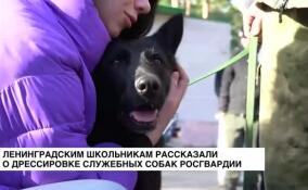 Ленинградским школьникам рассказали о дрессировке служебных собак Росгвардии