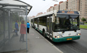 После прямой линии губернатора в Ленобласти восстановили работу автобуса №550