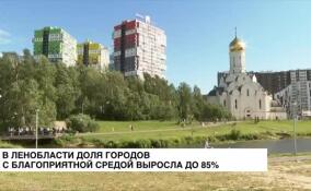 В Ленобласти доля городов с благоприятной средой выросла до 85%