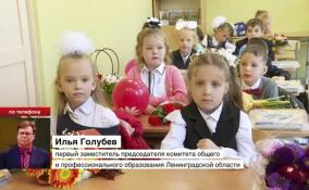 В Ленинградской области активно идет запись в первый класс