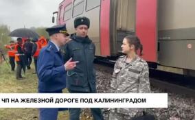 На железной дороге под Калининградом произошло ЧП