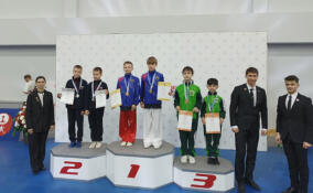 Двое юных спортсменов из Всеволожска стали серебряными призерами первенства России по ушу