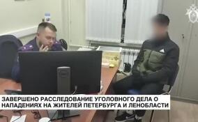Завершено расследование уголовного дела о нападениях на жителей Петербурга и Ленобласти
