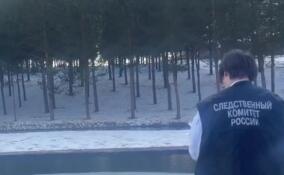 СК завел дело после гибели ребенка в искусственном озере в Ломоносовском районе