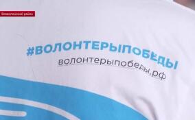 Региональный слет «Волонтеров Победы» стартовал во Всеволожском районе