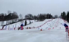 В Приозерском районе прошел финал чемпионата России по горнолыжному спорту