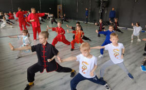 Мастер-класс по ушу состоялся в Северной столице