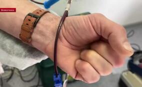 Больше 20 человек пришли сдать кровь во Всеволожскую больницу в донорский день