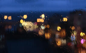 Дожди, грозы и ветер: синоптики рассказали о погоде в Ленобласти 9-11 апреля