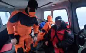 За неделю спасатели 26 раз выезжали на помощь жителям Ленобласти