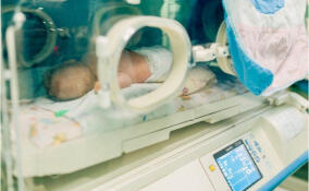 В Петербурге после домашних родов спасают жизни двух новорожденных двойняшек