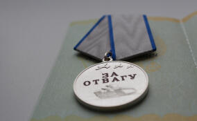 В Гатчине торжественно вручили награды и удостоверения ветерана боевых действий бойцам СВО