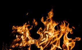 Огонь уничтожил Газель возле гаража в Сосновом Бору