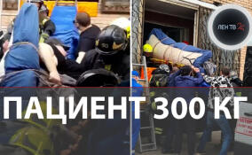 Пациента весом 300 кг вытаскивали из квартиры четыре часа. Москвич вызвал «скорую» из-за боли в сердце