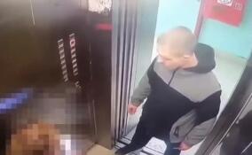 Мужчина ограбил школьницу в лифте жилого дома в Колтушах — видео