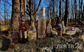 Несмотря на похолодание, общегородской субботник в Петербурге переносить не будут