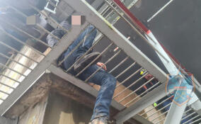 Тосненские спасатели вызволили застрявшего в прутьях на мосту мальчика