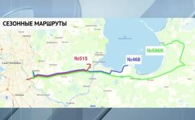 В Ленинградской области с 27 апреля вновь запускают сезонные маршруты