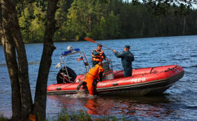 В России запустили флешмоб «Спасибо спасателям»